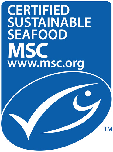 Logo MSC SURVEILLANCE AUDIT